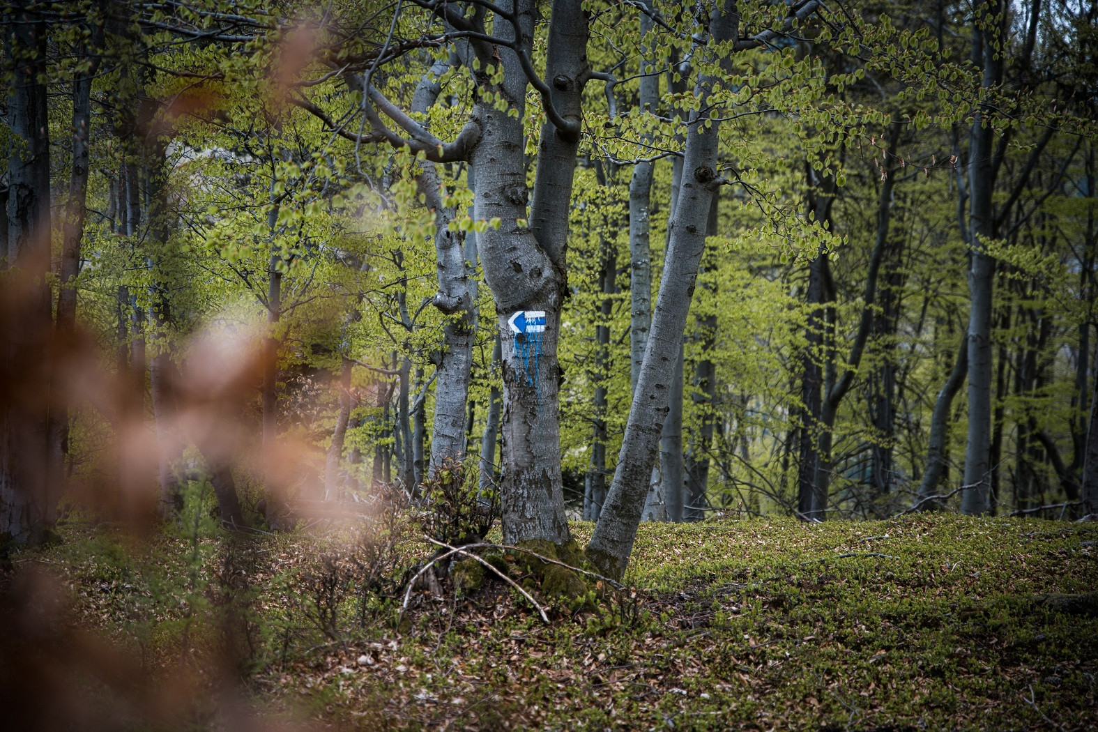 Výstup na Minčol 2026